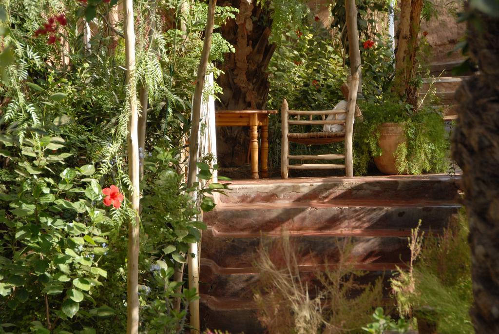 Villa Zagora Ma Villa Au Sahara Exterior foto