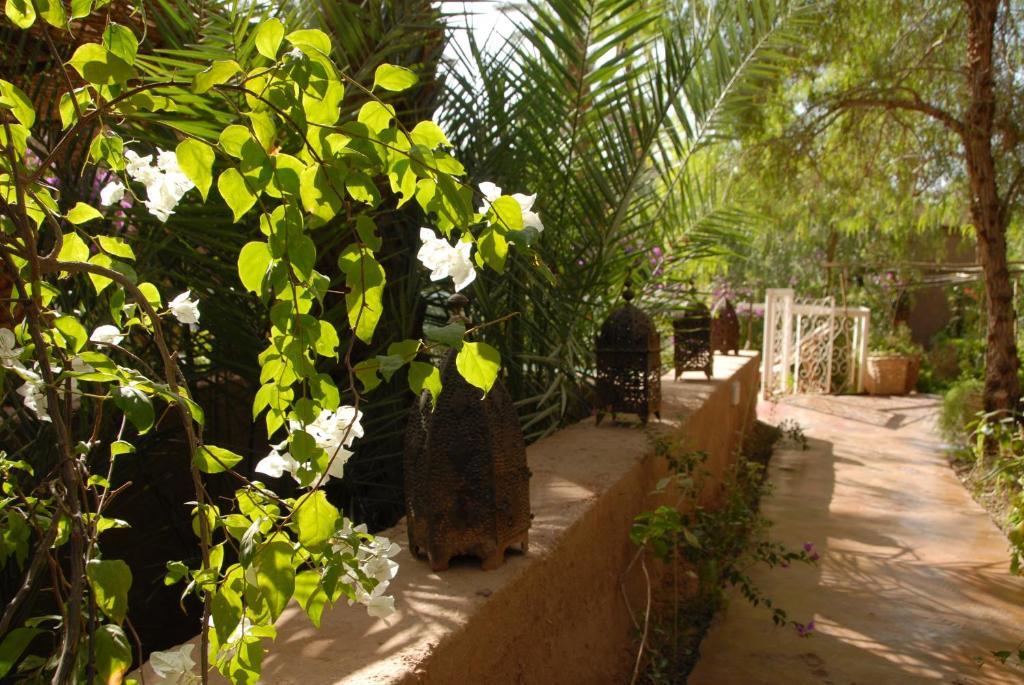 Villa Zagora Ma Villa Au Sahara Exterior foto