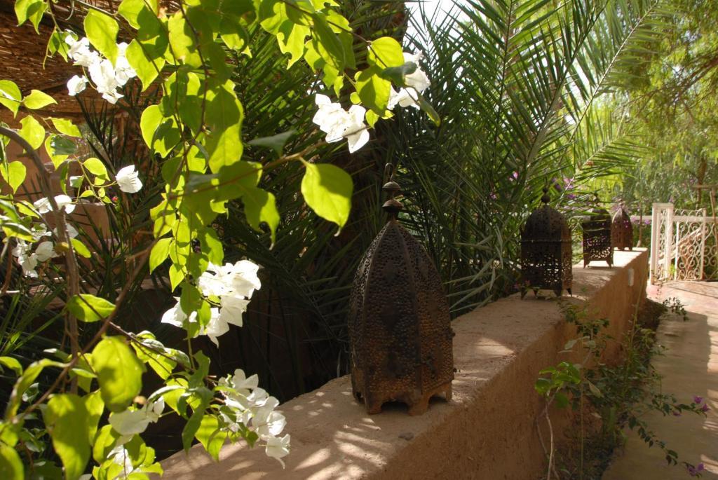 Villa Zagora Ma Villa Au Sahara Exterior foto